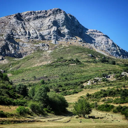 Pico Gilbo - Visual