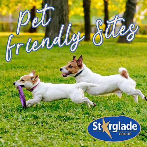 Starglade Group - Visual