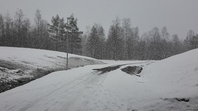 Photos of Wetteri Ltd
