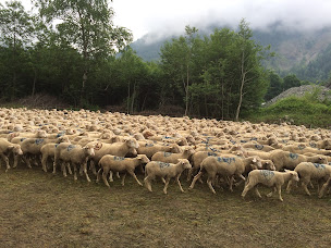 Photo n°6 de La Ferme Lou Craven à Moules (Camping à la ferme)