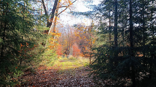 Friedhof Künsdorf - Visual