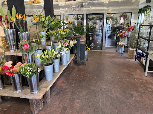 Dottie's Flowers & Plants Gallery - United States
