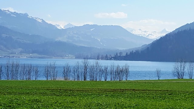 Gasthaus zum Hirschen