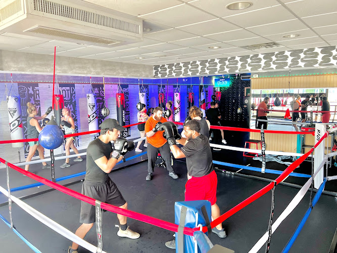 Riot Cardio Boxing - boxing in Tuckerton, New Jersey