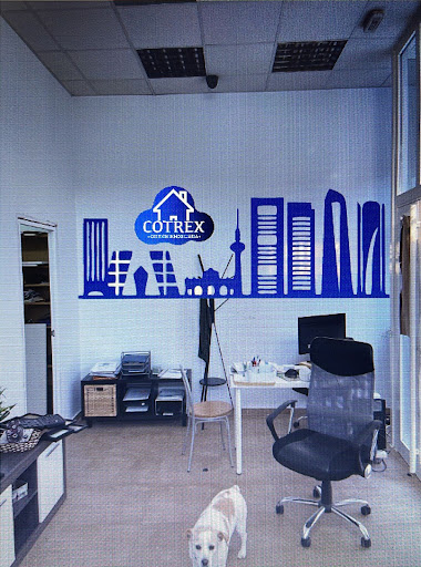 cotrex inmobiliaria - Thumbnail