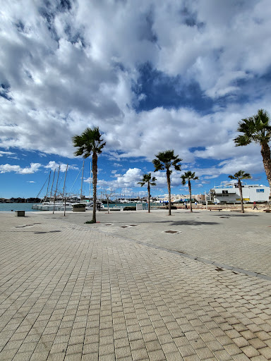 Marina de València - Thumbnail