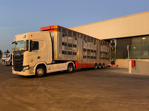 Siciliani Spa - Meat Processing Industry - Thumbnail