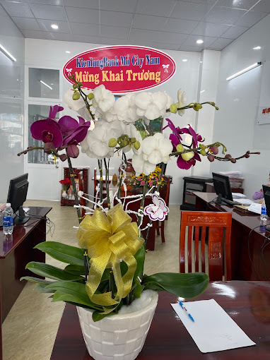 Văn Phòng Công Chứng Nguyễn Ngọc Thắm, Nối Dài, Mỏ Cày Nam, Bến Tre