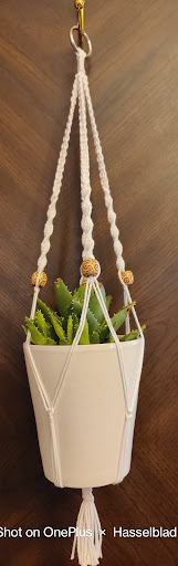 Smiling Succs - Visual
