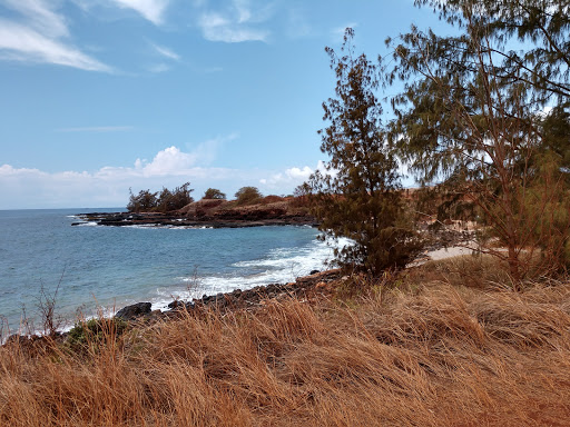 Kauai Wildlife Reserve