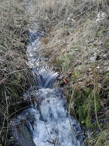 Herrnwald - Visual