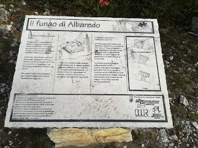 Fungo di Albaredo