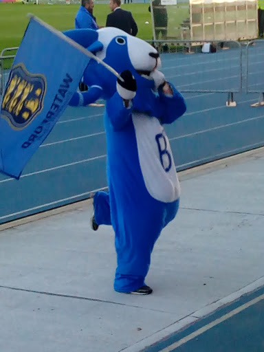 RSC Waterford - Thumbnail