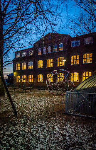 Fågelforsskolan