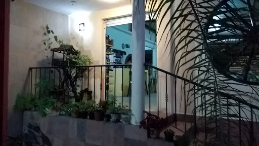 Restaurante Del Río - Thumbnail