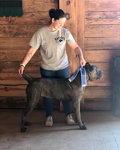 BossDog K9 Dog Training - Thumbnail