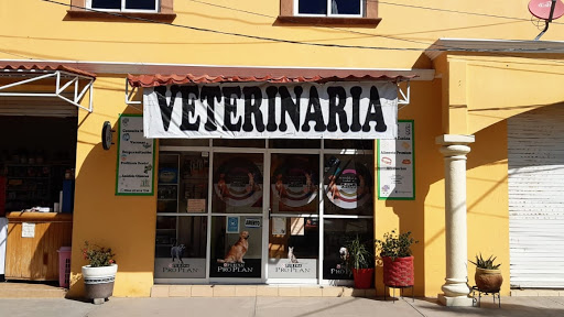 Clínica Veterinaria Dogtor Lovet