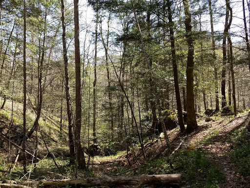 Flat Hollow Trailhead Gallery - United States