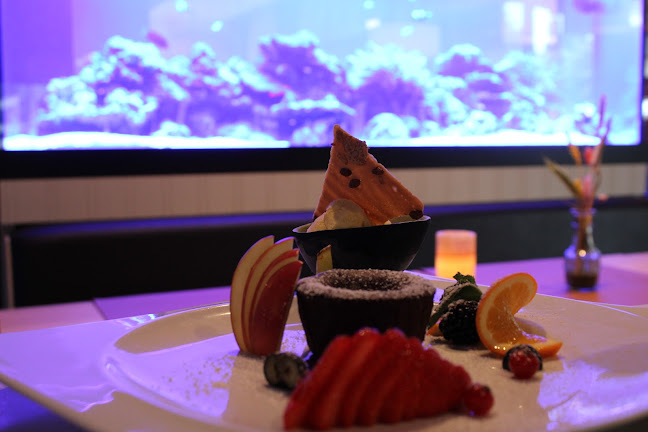 Opinii despre Brasserie Den Uil Wilrijk în Antwerpen - Restaurant