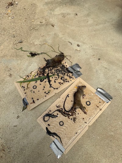 株式会社結-musubi