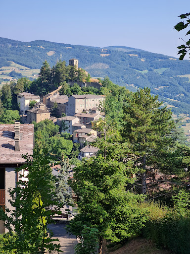 La Borella - Visual