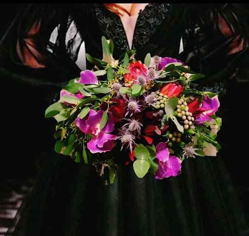Beth Studio - Visual