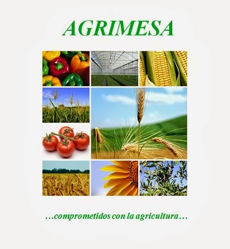 Agrimesa - Visual