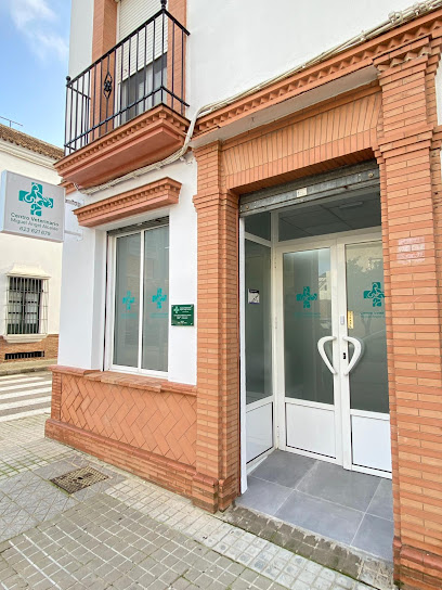 Centro Veterinario Miguel Ángel Alcaide — Veterinarios en El Viso del Alcor