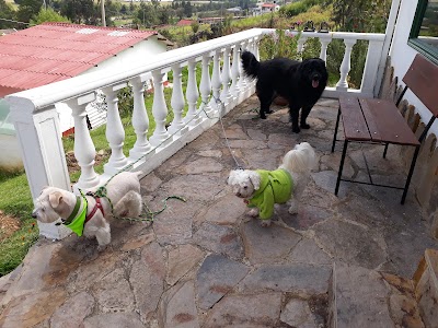 Photos of Villa Patty