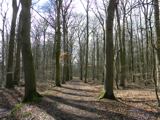 Landgoed Bijvanck
