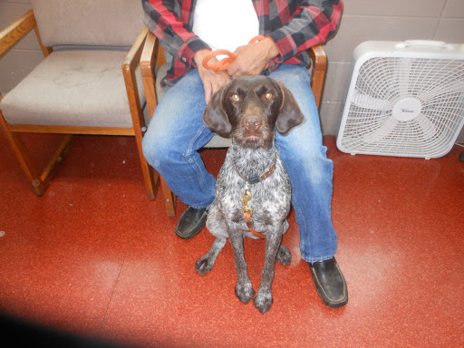 Forest Hill Veterinary Hospital - Thumbnail