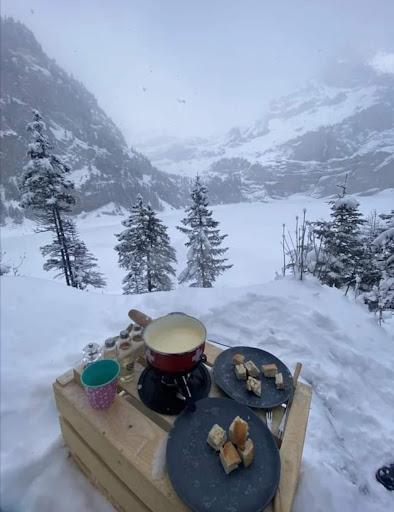 Le Montagnard