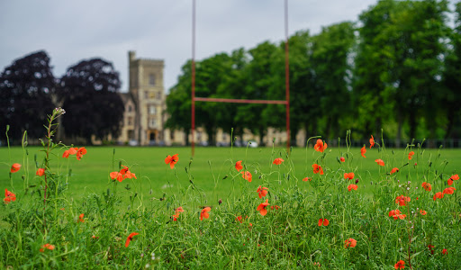 Royal Agricultural University - United Kingdom