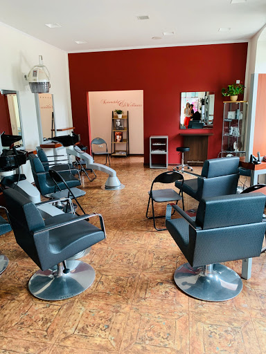 Salon Diana Oestreich