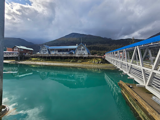 Seward Boat Harbor - Thumbnail