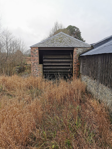 Philiphaugh Salmon Viewing Centre & Golden Eagle Eyrie Gallery - United Kingdom