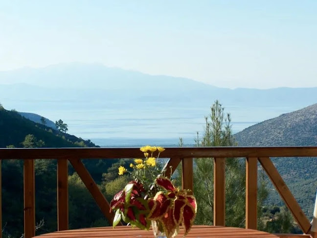 Comentarii opinii despre Kastania