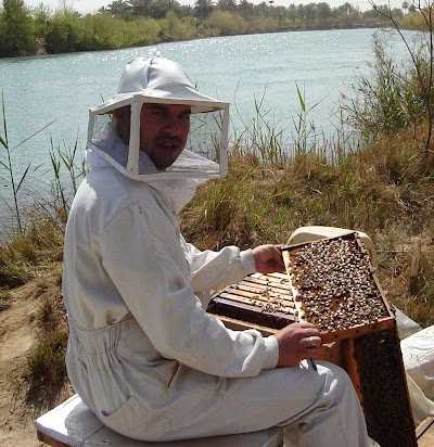 Photos of مناحل منتصر الحسناوي