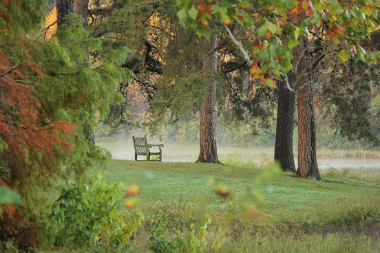 Bernheim Forest and Arboretum by null