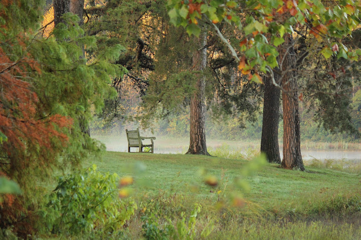 Bernheim Forest and Arboretum by null