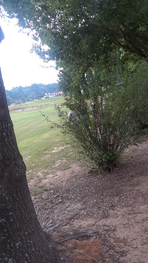 Flewellen Park - Visual