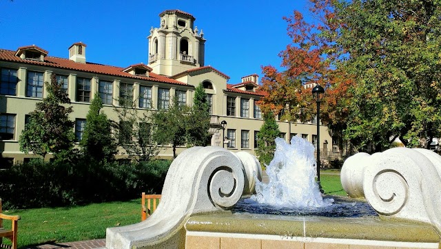 Place around image