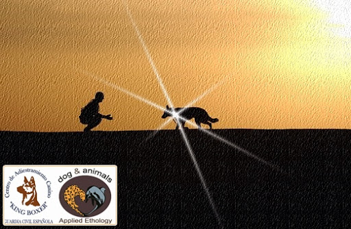 Adiestramiento Canino KingBoxer Guardia Civil Esp.