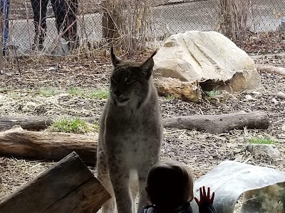 Asian Highlands at Hogle Zoo