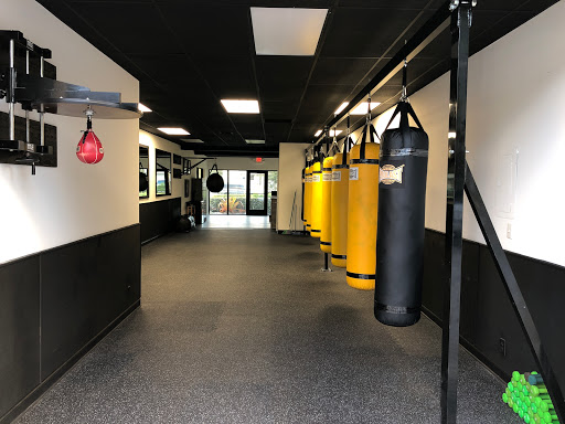 Boca Boxing District - Visual