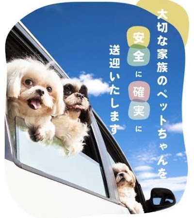 ペットタクシーCOCOタク東大阪店