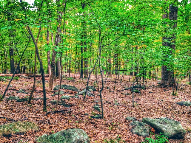 Breakneck Ridge Trailhead