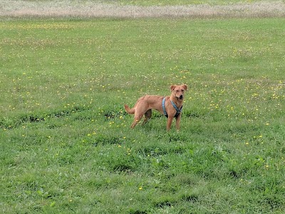 Cilley Veterinary Clinic