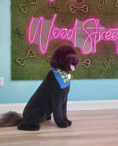 Woof's on Wood Street - Thumbnail