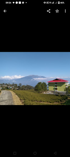 Gallery image 69